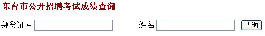 盐城市东台市2014年下半年医学卫生类招聘考试成绩查询